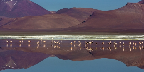f9ded1cf489144363ee2fbb6d327d140-altiplano-lakes